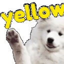 yellow
